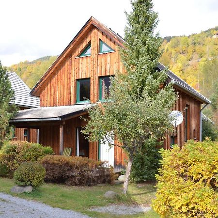 Ferienhaus Kreischberg Sankt Lorenzen ob Murau Exterior foto